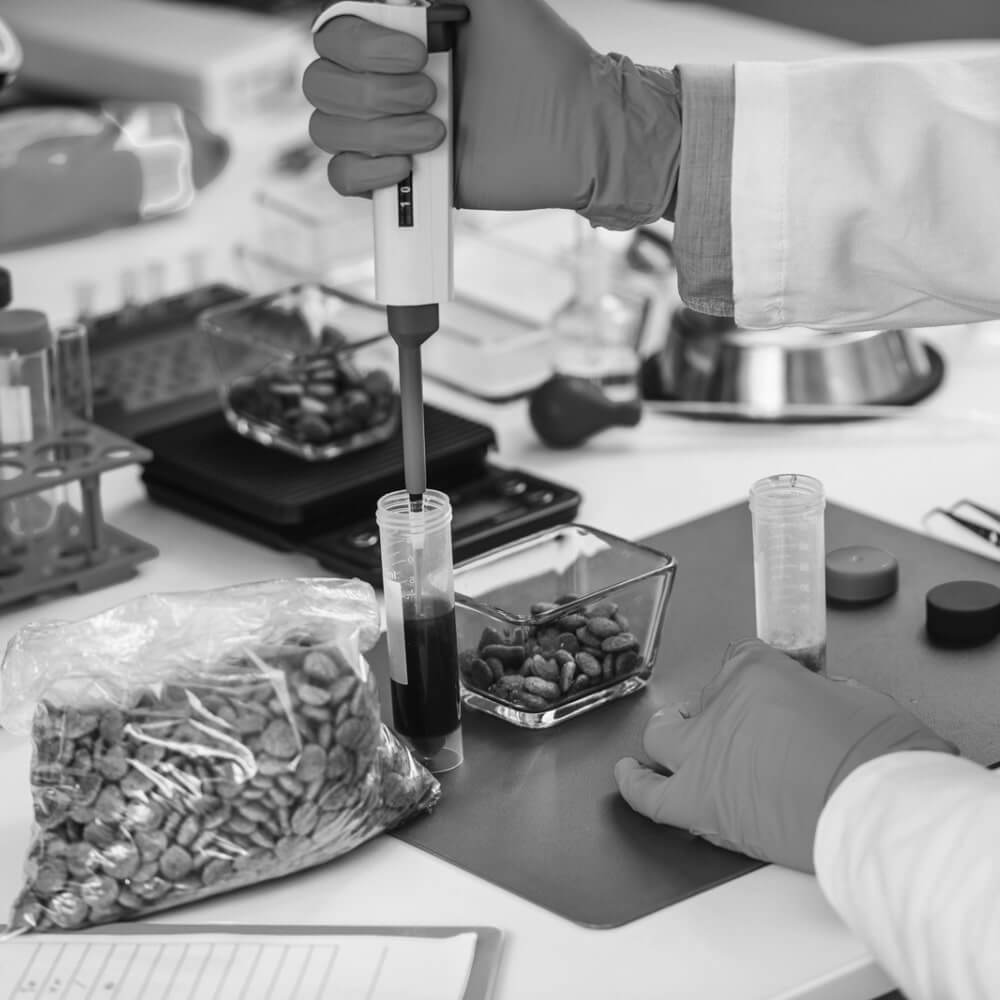 Dog supplement importance for health